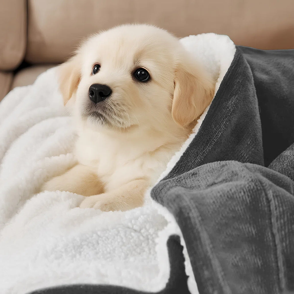 Sherpa Fleece Fur Thick Reversible Blanket Throw